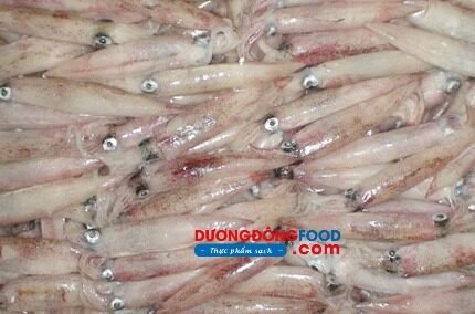Mực trứng Phú Quốc-loại 15-20 con/1kg